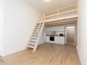 Pronájem bytu 1+kk, Ostrava, Palackého, 29 m2