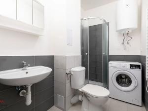 Pronájem bytu 1+kk, Ostrava, Palackého, 29 m2
