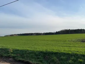 Prodej podílu lesa, Čistá, 878 m2