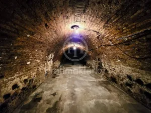 Prodej rodinného domu, Zaječí, Dolní, 169 m2