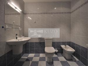 Pronájem bytu 2+kk, Praha, Ladova, 93 m2