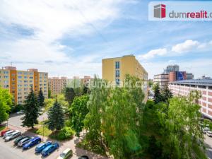 Prodej bytu 1+1, České Budějovice - České Budějovice 3, Puklicova, 35 m2