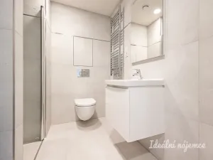 Pronájem bytu 1+kk, Praha - Žižkov, Basilejské náměstí, 42 m2