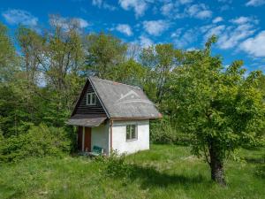 Prodej chaty, Žirovnice, 36 m2