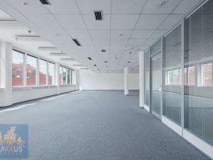 Pronájem kanceláře, Praha - Nové Město, Krakovská, 300 m2