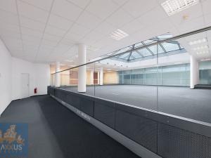 Pronájem kanceláře, Praha - Nové Město, Krakovská, 300 m2