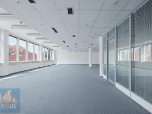 Pronájem kanceláře, Praha - Nové Město, Krakovská, 300 m2