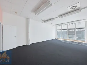 Pronájem kanceláře, Praha - Nové Město, Krakovská, 300 m2