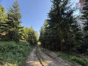 Prodej lesa, Milešov, 23184 m2