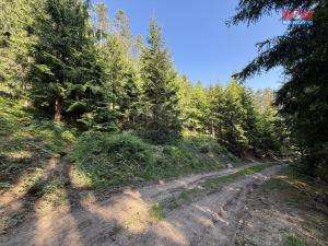 Prodej lesa, Milešov, 23184 m2