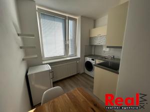 Pronájem bytu 1+1, Brno, Klíny, 37 m2