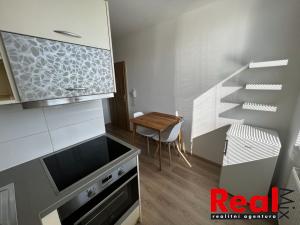 Pronájem bytu 1+1, Brno, Klíny, 37 m2