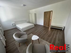 Pronájem bytu 1+1, Brno, Klíny, 37 m2