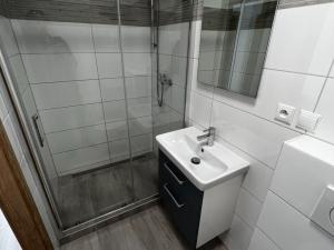 Pronájem bytu 1+1, Brno, Klíny, 37 m2