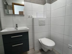 Pronájem bytu 1+1, Brno, Klíny, 37 m2