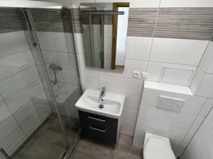 Pronájem bytu 1+1, Brno, Klíny, 37 m2