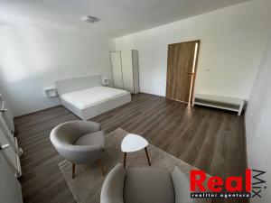 Pronájem bytu 1+1, Brno, Klíny, 37 m2