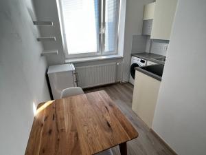 Pronájem bytu 1+1, Brno, Klíny, 37 m2