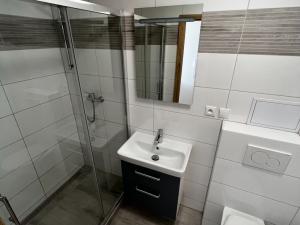 Pronájem bytu 1+1, Brno, Klíny, 37 m2