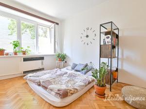 Pronájem bytu 1+1, Brno - Královo Pole, Malátova, 35 m2