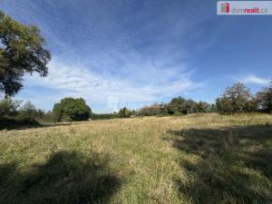 Prodej pozemku pro bydlení, Údlice, 975 m2