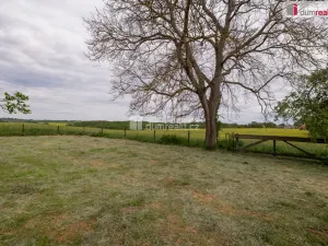 Prodej zahrady, Řepín - Živonín, 1647 m2