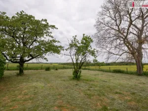 Prodej zahrady, Řepín - Živonín, 1647 m2