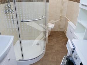 Pronájem bytu 1+1, Plzeň, Guldenerova, 46 m2