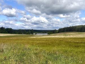 Prodej pole, Tisová - Kumpolec, 220644 m2