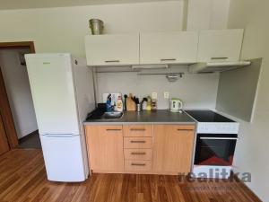 Pronájem bytu 1+kk, Opava - Kateřinky, Hálkova, 33 m2