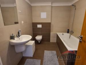 Pronájem bytu 1+kk, Opava - Kateřinky, Hálkova, 33 m2