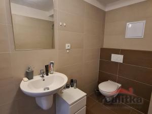 Pronájem bytu 1+kk, Opava - Kateřinky, Hálkova, 33 m2