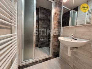 Pronájem bytu 1+1, Ostrava, Čs. exilu, 39 m2