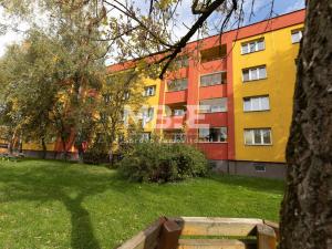 Pronájem bytu 2+1, Karviná - Ráj, Haškova, 56 m2