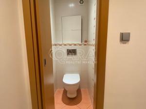 Pronájem bytu 2+1, Čelákovice, Stankovského, 54 m2