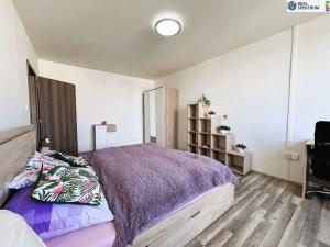 Pronájem bytu 1+1, Hradec Králové, Selicharova, 40 m2