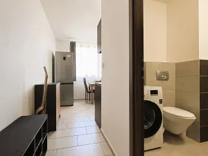 Pronájem bytu 1+1, Hradec Králové, Selicharova, 40 m2