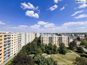 Pronájem bytu 1+1, Hradec Králové, Selicharova, 40 m2
