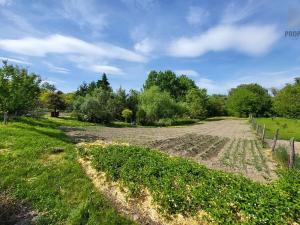 Prodej rodinného domu, Bulhary, 110 m2
