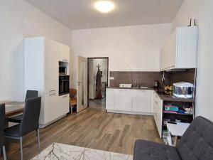 Pronájem bytu 2+kk, České Budějovice, Puklicova, 57 m2