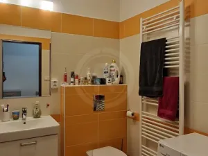 Pronájem bytu 2+kk, České Budějovice, Puklicova, 57 m2