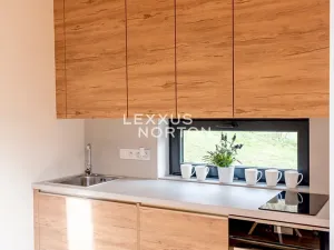Prodej bytu 3+kk, Ostrovec, 48 m2