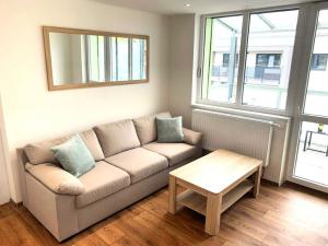 Pronájem bytu 1+1, České Budějovice - České Budějovice 3, Opatovická, 32 m2