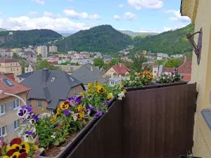 Prodej bytu 5+1, Děčín - Děčín II-Nové Město, Lužická, 145 m2