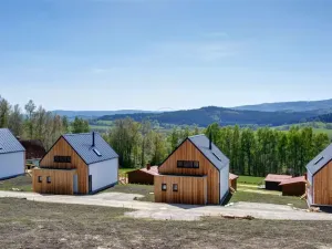 Prodej rodinného domu, Horní Planá, 110 m2