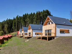 Prodej rodinného domu, Horní Planá, 137 m2