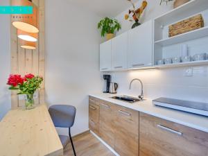 Pronájem bytu 1+kk, Olomouc - Povel, Lužická, 35 m2