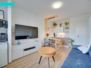 Pronájem bytu 1+kk, Olomouc - Povel, Lužická, 35 m2