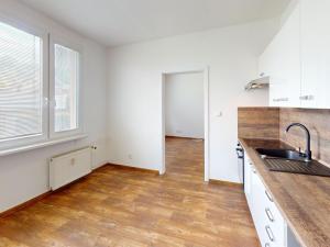Pronájem bytu 1+1, Meziboří, Nad parkem, 39 m2