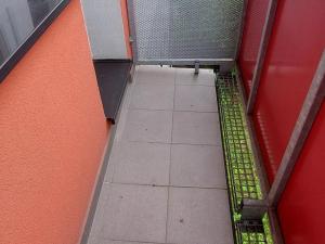 Pronájem bytu 3+1, Valašské Meziříčí - Krásno nad Bečvou, Na Šištotě, 74 m2